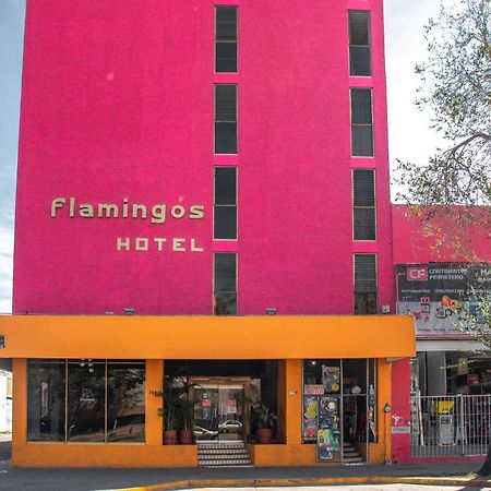 Hotel Flamingos Guadalajara Exteriör bild