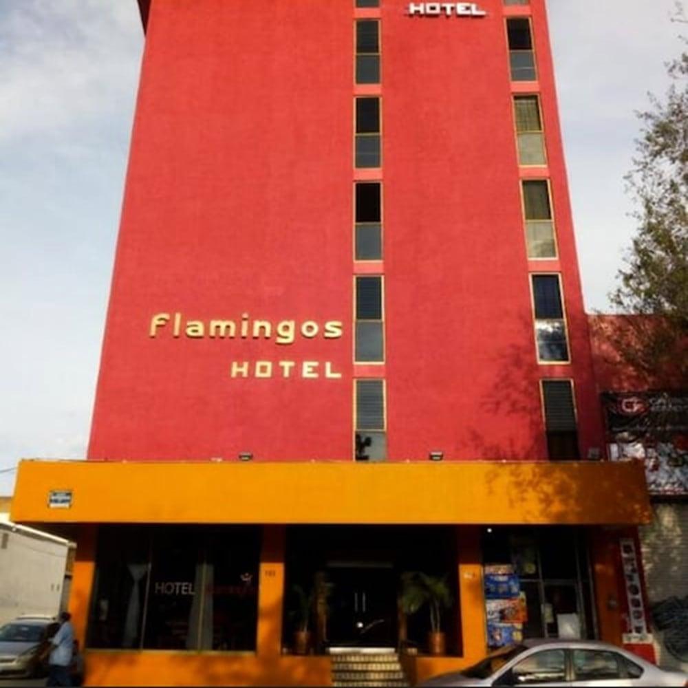 Hotel Flamingos Guadalajara Exteriör bild